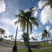 sawaの画像