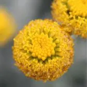 hero99の画像