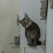 ミッチー