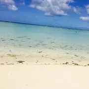 べーやんの画像