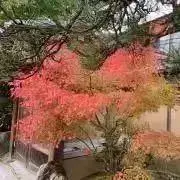 値下げ可否は説明文確認を‼️PCHANの画像