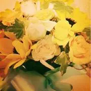 H.a.R.uの画像
