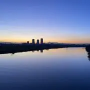 Ryuの画像
