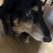 あいうえお