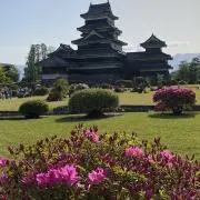 こあかの画像