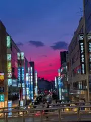 あきなしの画像
