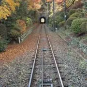 juntanの画像
