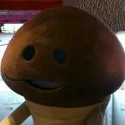 スルメ