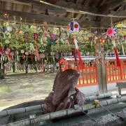 Image of カナカナ