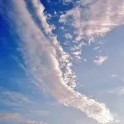 ゆうの画像