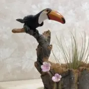 SAKURAの画像