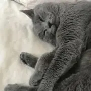 Yu-riの画像