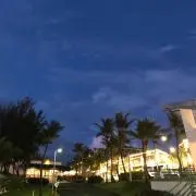 jamsの画像