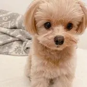 yocchi☆の画像