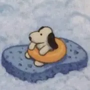 Nの画像