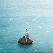 チーの一族の画像