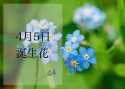 yuzu.himeの画像