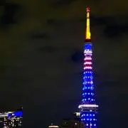 菖蒲【無言購入OK】の画像