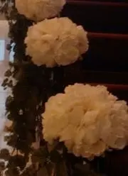 あいの画像