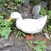 パタパタちゃんの画像