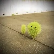 kuru7の画像