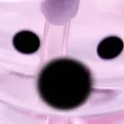 Sanaの画像