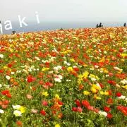 ♡AKママ♡の画像
