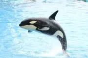 M Scienceの画像