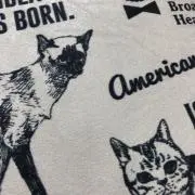 みかん