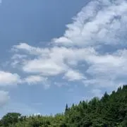 リンクの画像