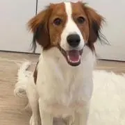 デコピン