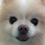 あん☆断捨離中の画像
