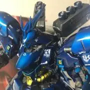 Tomの画像