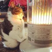 じんや