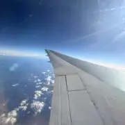 しーさんの画像