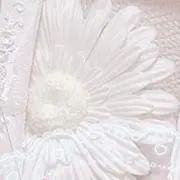 okomeの画像