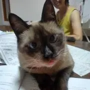 ちぃ　プロフ見てくださいの画像