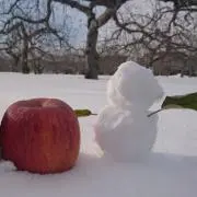 なせん