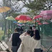 たんばりん