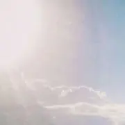 ぴの画像