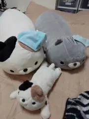 ri1835の画像