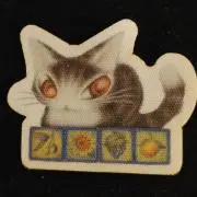 ナオミの画像