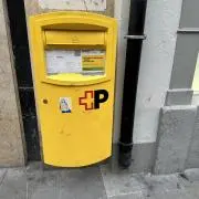 さくらの画像