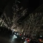 ディマ