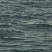 rの画像