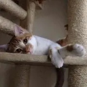 みき