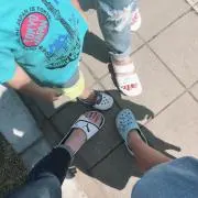 せいたんの画像