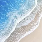 パール✨の画像