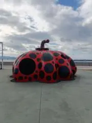 ちょめじの画像