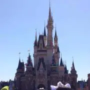 大福プロフ必読‼︎